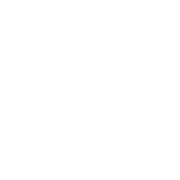 N&H Gips AG Logo